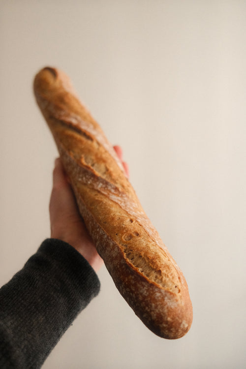 Bruine Franse Baguette